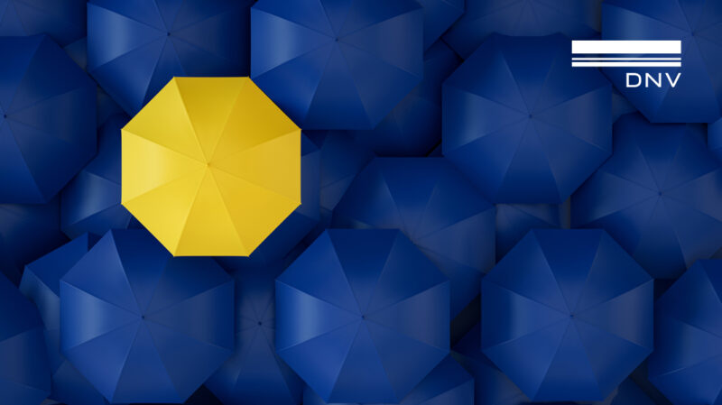 image of the top of 1 yellow umbrella in a crowd of dark blue umberellas